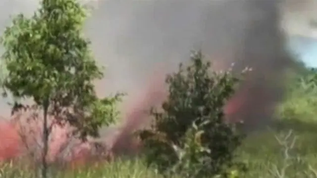 Teriknya Cuaca Puluhan Hektar di Palangkaraya Terbakar