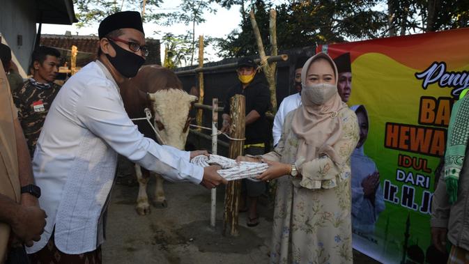 Desa Sirau, Purbalingga mendapat satu ekor sapi jumbo dari Presiden Jokowi untuk Iduladha 2020 ini. (Foto: Liputan6.com/Humas Pemkab Purbalingga)