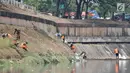 Petugas PPSU dan Sudin Tata Air Jakarta Timur membersihkan sampah dan tanaman liar di sepanjang aliran Kanal Banjir Timur (KBT), Senin (15/10). Banyak sampah yang bermunculan ke permukaan akibat debit air surut. (Merdeka.com/ Iqbal S. Nugroho)