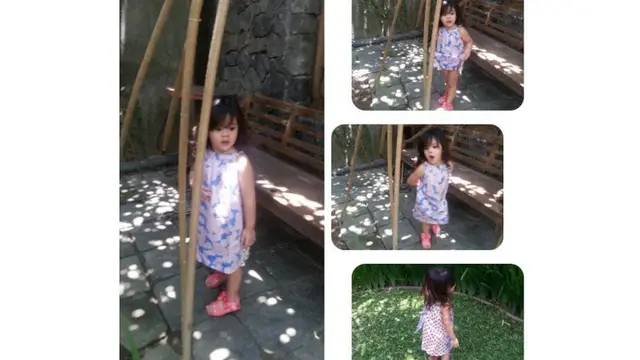 Safeea