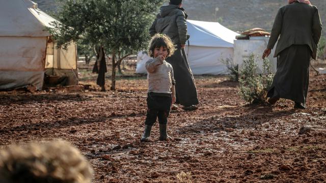 Jadi Tunawisma Karena Semut