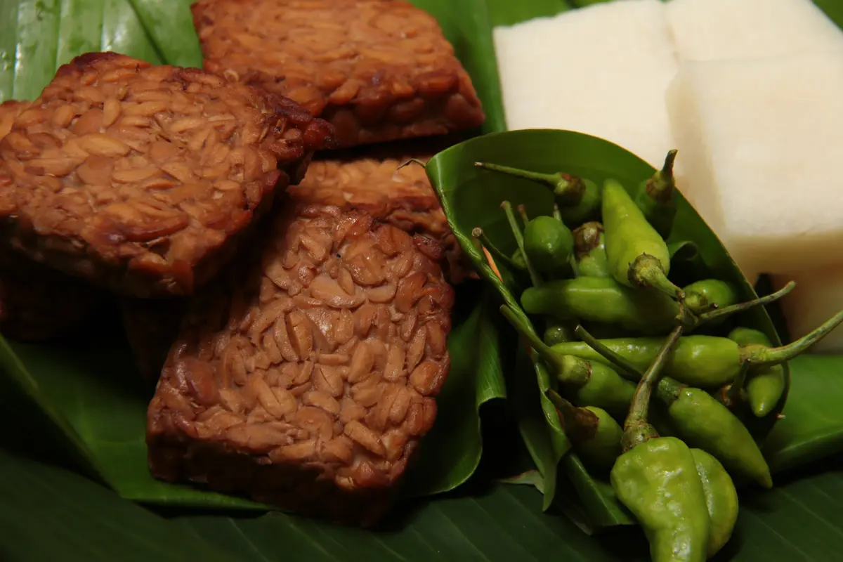 tempe bacem