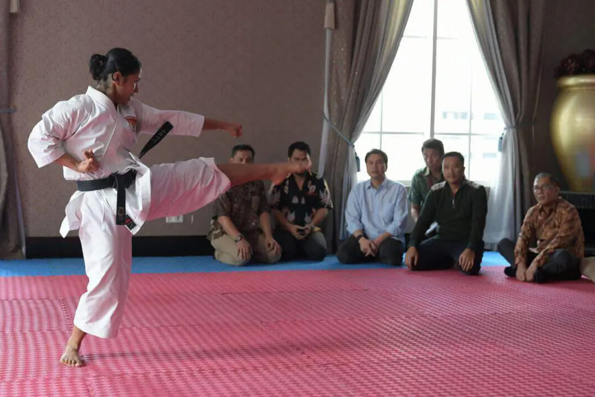 Tim nasional karate