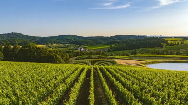 Willamette Valley