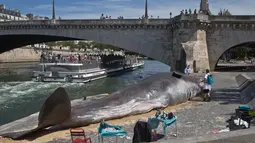 Sejumlah Warga melihat patung ikan paus berkuruan besar di sepanjang Sungai Seine di Paris, Prancis, (21/7). Kehadiran paus besar ini menjadi pusat perhatian turis dan warga Paris. (AP Photo / Michel Euler)