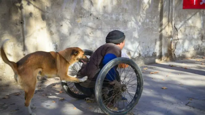 Foto: copyright shanghaiist.com