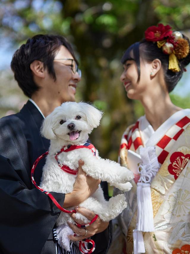 Resmi Menikah, Ini 7 Potret Prewedding Stefi Eks JKT48 Pakai Baju Kimono