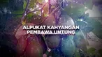 Sekuriti di sebuah perusahaan di Kota Semarang, Jawa Tengah, berani beralih menjadi seorang petani. Lewat keuletannya justru mengubah nasibnya, membudidayakan alpukat Kahyangan. Sekali panen, satu pohon alpukat Kahyangan bisa menghasilkan 20 kilogram...