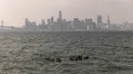 Sekelompok angsa berenang dekat Treasure Island saat lapisan asap akibat kebakaran hutan California Utara menyelimuti San Francisco, Amerika Serikat, Rabu (20/9/2023). (Stephen Lam/San Francisco Chronicle via AP)