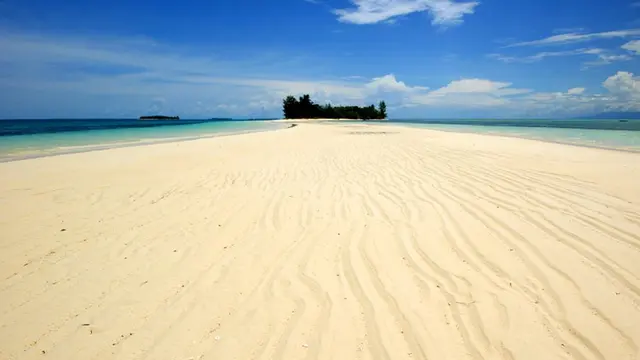 Pulau Morotai: Surga Bawah Laut Tersembunyi dengan Keindahan dan Keajaibannya