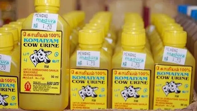 Bayi Tikus hingga Urin Sapi, 6 Minuman Ekstrem dari Organ Hewan di Dunia