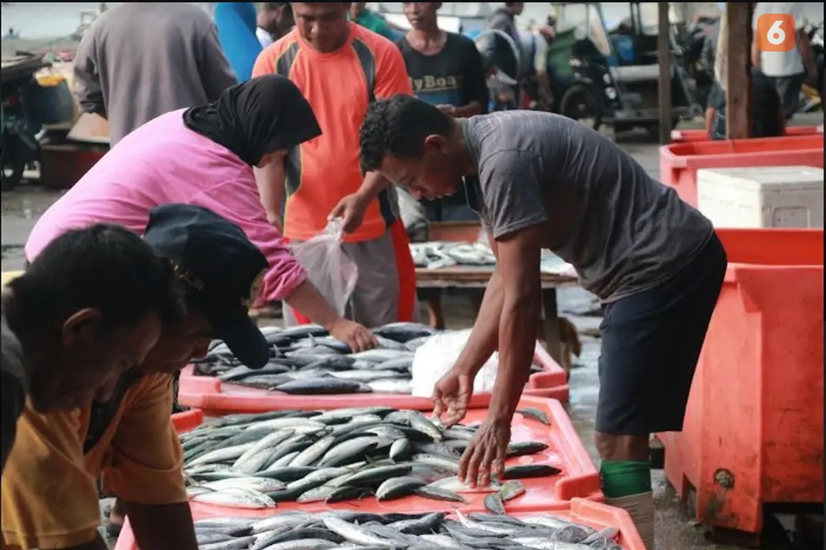 Aktivitas jual beli di tempat pelelangan ikan (TPI) Kota Gorontalo (Foto: Arfandi Ibrahim/Liputan6.com)
