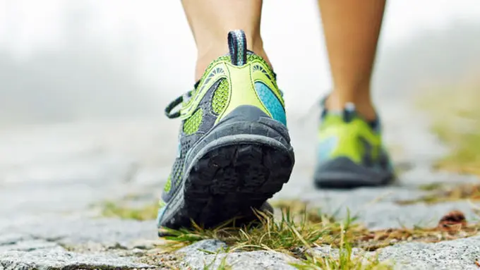 Courtesy ShutterStock.com