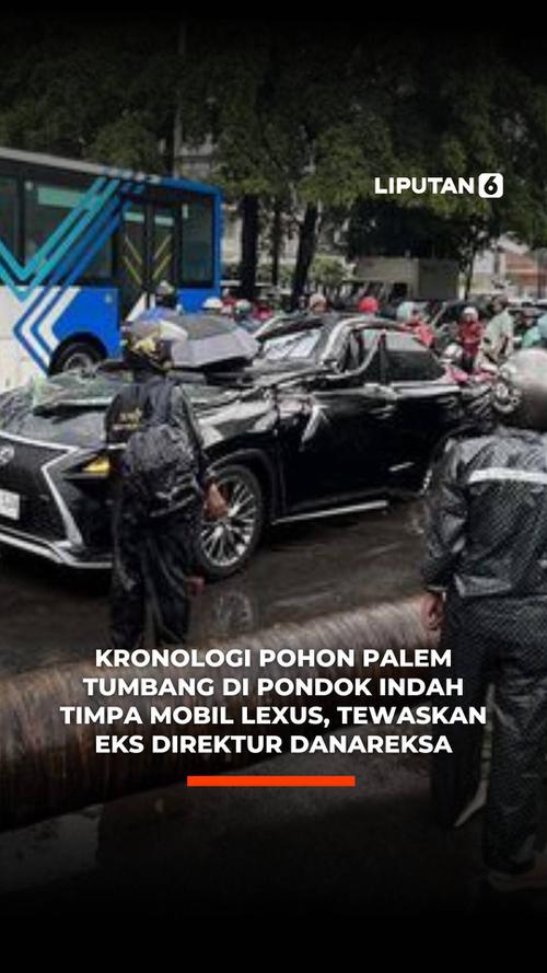 Kronologi Pohon Palem Tumbang di Pondok Indah Timpa Mobil Lexus, Tewaskan Eks Direktur Danareksa