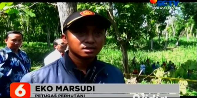 VIDEO: Warga Banjarbanggi Terkejut Ada Temuan Mayat Wanita di Ladang Jagung