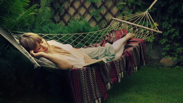 Ide Taman Depan Rumah Minimalis yang Bikin Suasana Asri dan Nyaman