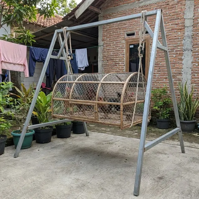 Kandang Ayam Model Keranjang Gantung  (Gemini AI)