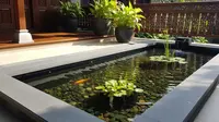 8 Model Kolam Ikan Minimalis Lahan 2x3 Meter Mudah Dirawat, Cocok Jadi Hiasan Teras