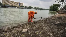 Pasukan oranye memunguti daun kering dan sampah di pinggiran Danau Sunter, Jakarta, Rabu (27/12). Aksi bersih-bersih itu terkait rencana kegiatan pesta malam tahun yang akan digelar Pemkot Jakarta Utara di danau Sunter. (Liputan6.com/Faizal Fanani)