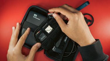 Hand with carrying case for hard disk and memory card SD