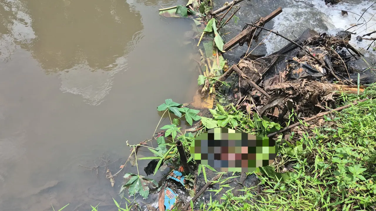 Mayat bayi yang ditemukan warga dipinggir Kali Ceringin, Tajurhalang, Kabupaten Bogor.