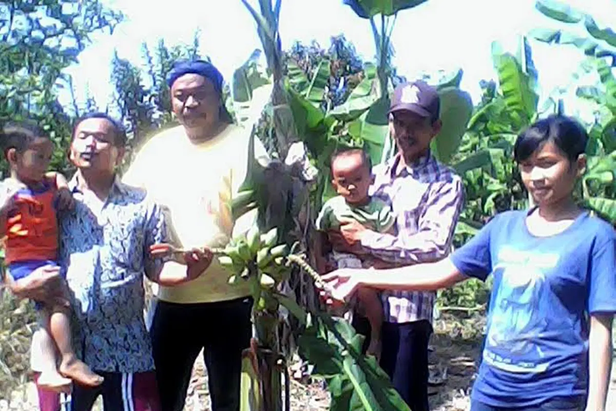 Pohon Pisang Keramat Bogor