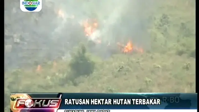 Ratusan Hektar Hutan Terbakar
