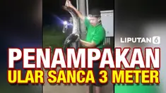 vertical sanca