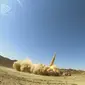 Rudal Khaibar-buster diluncurkan dari lokasi yang dirahasiakan di Iran, 10 Februari 2022. Iran meluncurkan rudal baru dengan jangkauan yang akan memungkinkannya mencapai pangkalan AS di wilayah tersebut serta target di dalam musuh bebuyutannya, Israel. (IMA Media via AP)