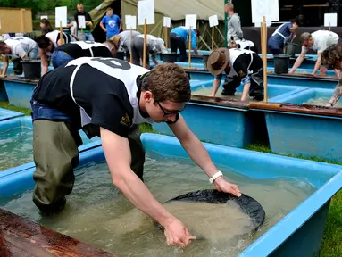 Seorang peserta bersaing mencari emas saat mengikuti kejuaraan Dunia Gold Panning Dirk Mehlhorn di Zlotoryja, Polandia, 28 Mei 2016. Kejuaraan tahunan di dekat Sungai Kaczawa ini diikuti penggali emas profesional dari seluruh dunia. (Piotr HAWALEJ/AFP)