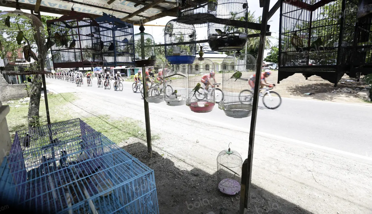 Deretan burung dalam sangkar yang dijual pedagang menjadi daya tarik tersendiri pada etape ke-5 Tour de Singkarak dari Pantai Carocok-Painan menuju pantai Gondoriah-Pariaman, Sumatera Barart. (Bola.com/NIcklas Hanoatubun) 