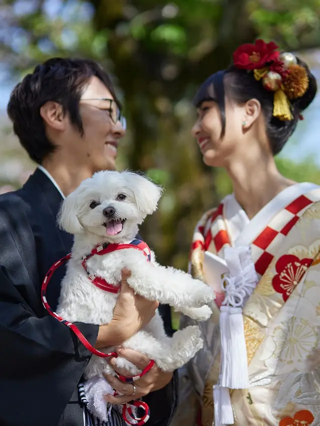 Resmi Menikah, Ini 7 Potret Prewedding Stefi Eks JKT48 Pakai Baju Kimono