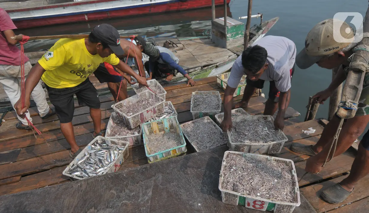 Dilansir dari Medical Daily, penelitian tersebut juga menemukan konsumsi ketiga ikan itu berpotensi menurunkan kecacatan yang disebabkan penyakit yang berkaitan dengan pola makan. (merdeka.com/Imam Buhori)