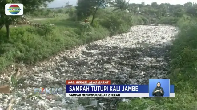 Sampah domestik melimpah hingga tutupi Kali Satria sepanjang 500 meter dan setinggi 1 meter.