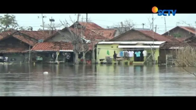 Ribuan rumah dari empat kelurahan di Pekalongan, Jawa Tengah, masih terendam banjir akibat meluapnya air laut ke permukiman warga.