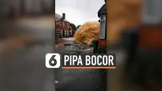 Pipa air mengalami kebocoran di salah satu jalan di Inggris. Akibatnya, air menyembur deras yang membuat jalanan banjir. Arus lalu lintas di sekitar lokasi juga ikut terganggu.