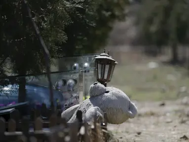 Boneka Beruang diletakkan di salah satu makam di pemakaman hewan, Beijing , Cina (26/3). Memiliki hewan peliharaan kini telah menjadi simbol kesuksesan di Cina. (REUTERS / Jason Lee)