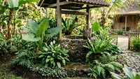 8 Jenis Pohon Buah yang Cocok Ditanam Dekat Sumur Rumah, Tak Rusak Kualitas Air