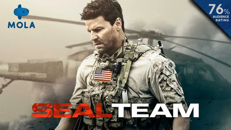Serial drama SEAL Team karya Benjamin Cavell dan dibintangi oleh David Boreanaz.