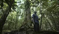 Upaya Konservasi Hutan: 9 Langkah Penting Memperingati Hari Hutan Indonesia
