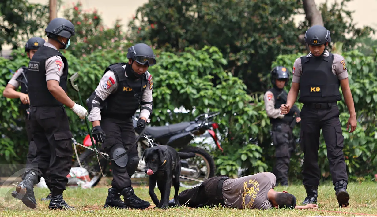Polisi bersenjata dan anjing pelacak diterjunkan dalam simulasi penanggulangan bom di lapangan Direktorat Sabhara Polda Metro Jaya, Kamis (4/2). Simulasi dilakukan untuk menempa kemampuan Polri dalam mengatasi teroris. (Liputan6.com/Immanuel Antonius)