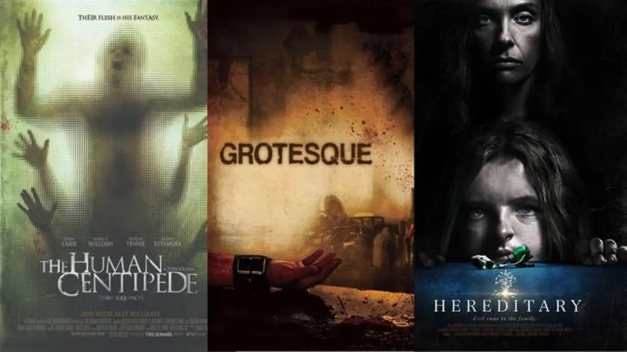 Poster Film The Human Centipede, Grotesque, Hereditary (credit: imdb).