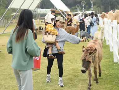 Sejumlah orang menikmati waktu luang mereka di "Go Farm" di Desa Gucheng, Kota Huzhou, Provinsi Zhejiang, China pada 17 November 2020. "Go Farm", sebuah destinasi liburan yang memadukan antara perkemahan dengan tur bertema hewan peliharaan di desa kuno Gucheng. (Xinhua/Weng Xinyang)