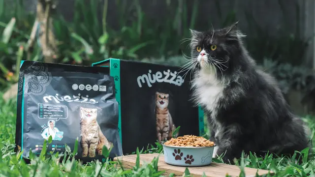 Mengenal Makanan Kucing yang Halal, Terbuat dari Apa Saja?