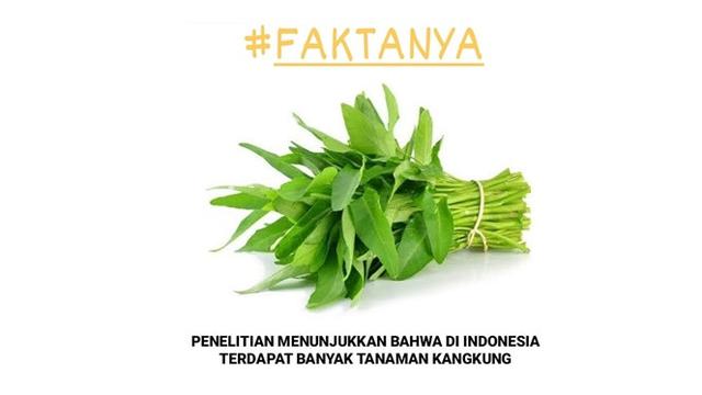6 Meme Kocak Tentang Fakta Nyeleneh Ini Bikin Tepuk Jidat Hot Liputan6 Com