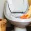 6 Alat Pembersih yang Bisa Merusak Toilet, Wajib Tahu