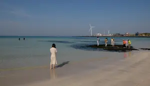 Jeju Diguncang Penemuan 4 Mayat, Wisatawan Berbondong-bondong Batalkan Liburan