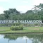 Unhas Pecat Mahasiswa Lecehkan Mahasiswa Baru