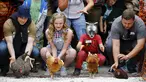 Para peserta bersiap melepaskan ayam betina jagoannya dalam World Hen Racing Championships di Bonsall, Inggris, Sabtu (1/8/2015). Sejumlah ayam betina adu kecepatan untuk menjadi pemenang dalam kejuaran tersebut. (Reuters/Darren Staples)