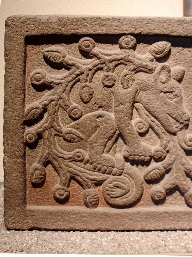 Ilustrasi antropologi